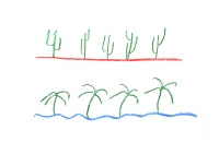 https://www.daniel-lumbreras.com/files/gimgs/th-87_cactus palmeras.jpg